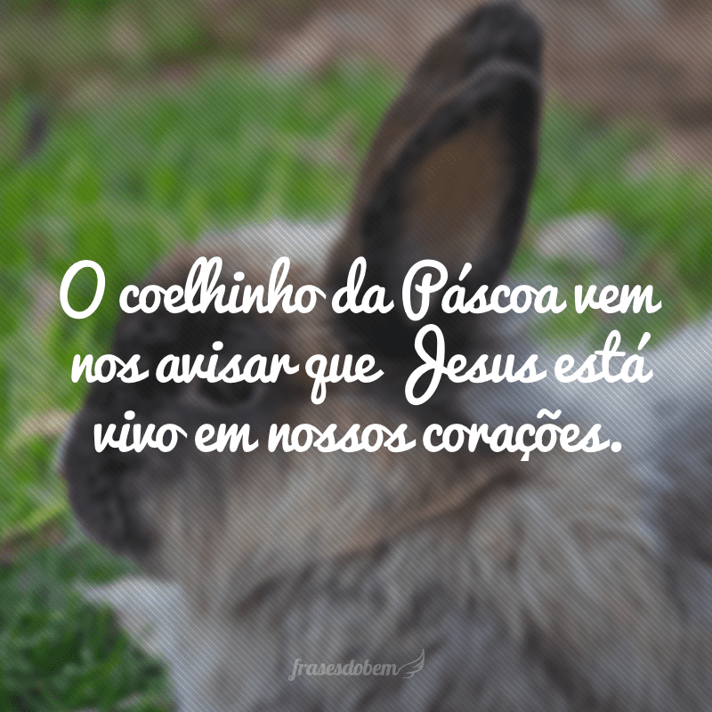 Frases De P Scoa Para Amigos Queridos E Especiais