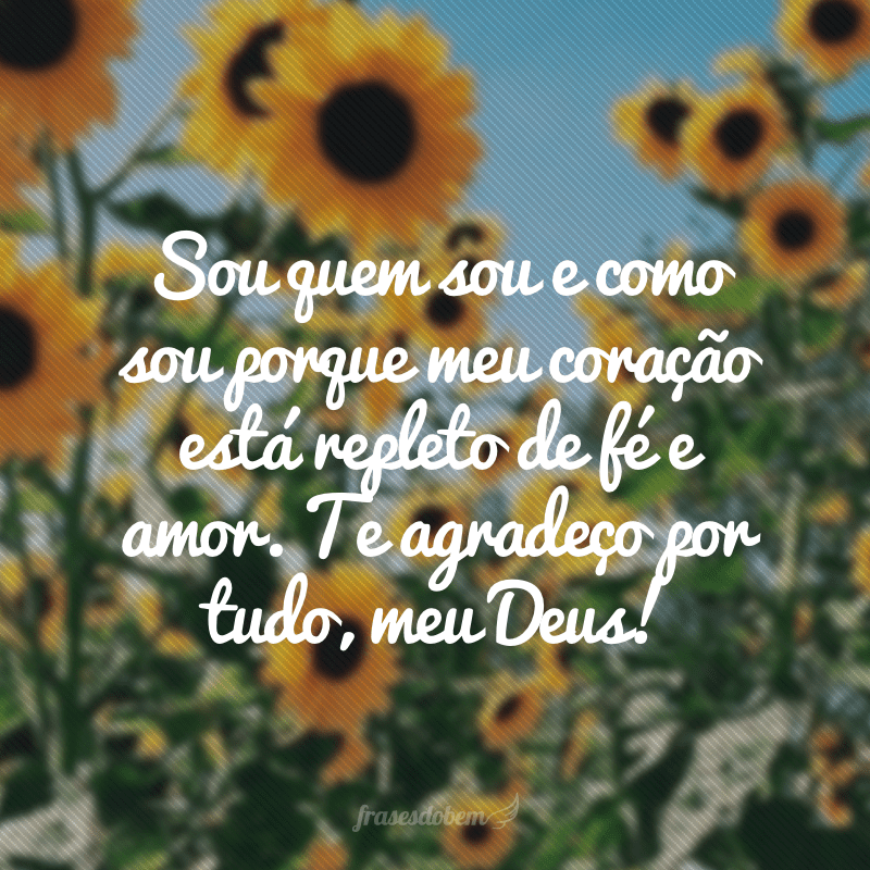 Frases De Gratid O A Deus Que V O Te Lembrar De Agradecer Sempre