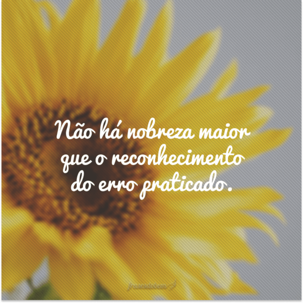 Frases De Reconhecimento Para Te Fazer Refletir E Te Motivar A Ser Grato