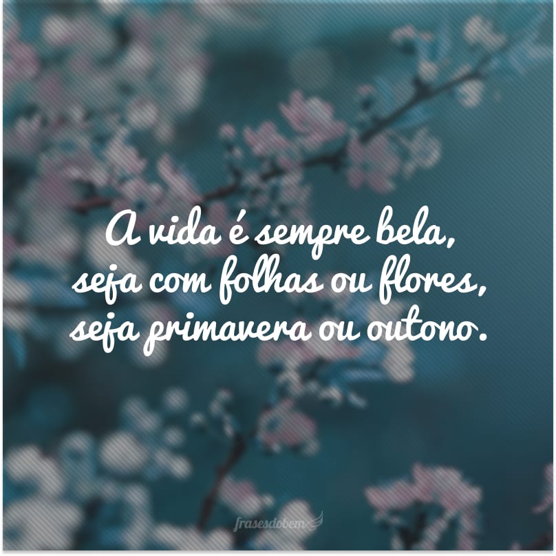 Frases De Primavera Para Florescer Junto S Flores