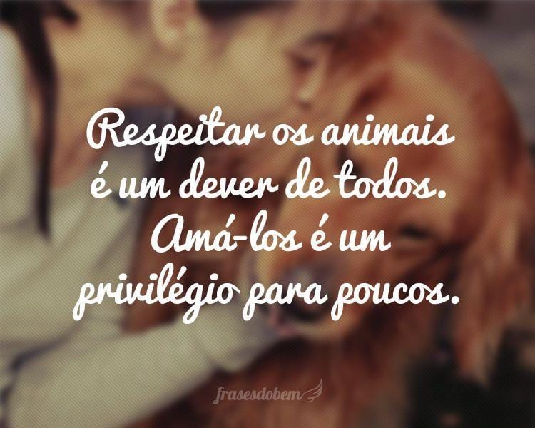 Respeitar os animais é um dever de todos. Amá-los é um privilégio para poucos.