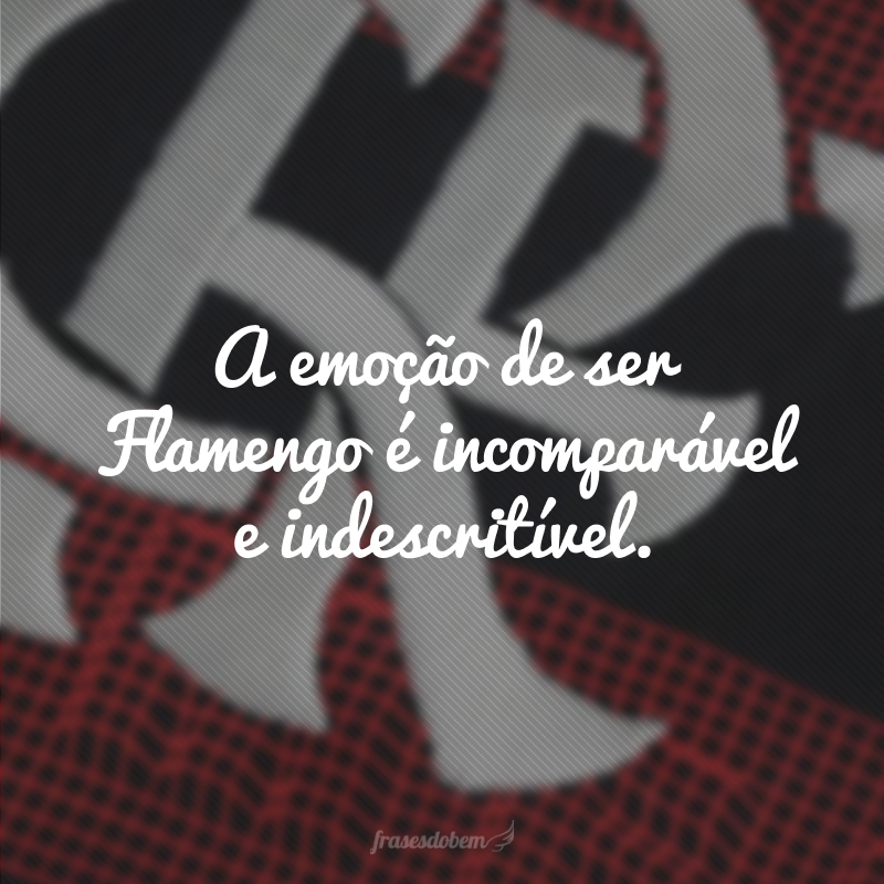 A emoção de ser Flamengo é incomparável e indescritível.