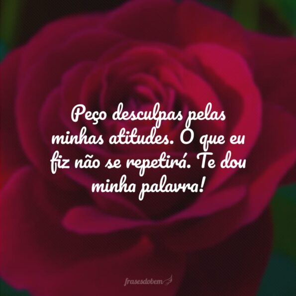 40 Frases De Desculpas Para Whatsapp Que Vão Inspirar O Perdão 8365