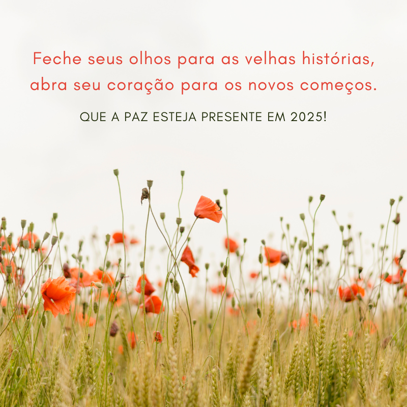 Feche seus olhos para as velhas histórias, abra seu coração para os novos começos. Que a paz esteja presente em 2025!