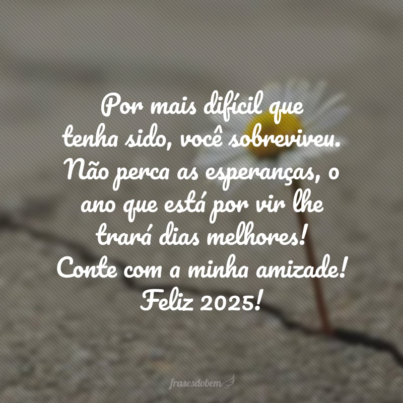 Por mais difícil que tenha sido, você sobreviveu. Não perca as esperanças, o ano que está por vir lhe trará dias melhores! Conte com a minha amizade! Feliz 2025!