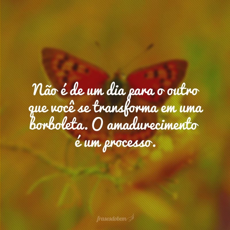 Não é de um dia para o outro que você se transforma em uma borboleta. O amadurecimento é um processo.