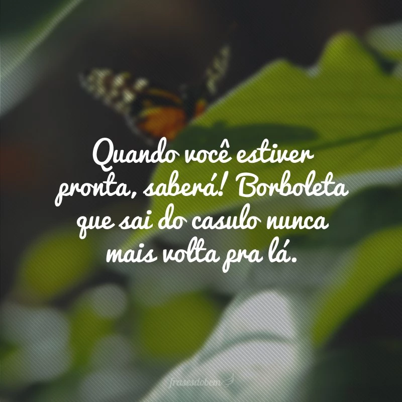 Quando você estiver pronta, saberá! Borboleta que sai do casulo nunca mais volta pra lá.