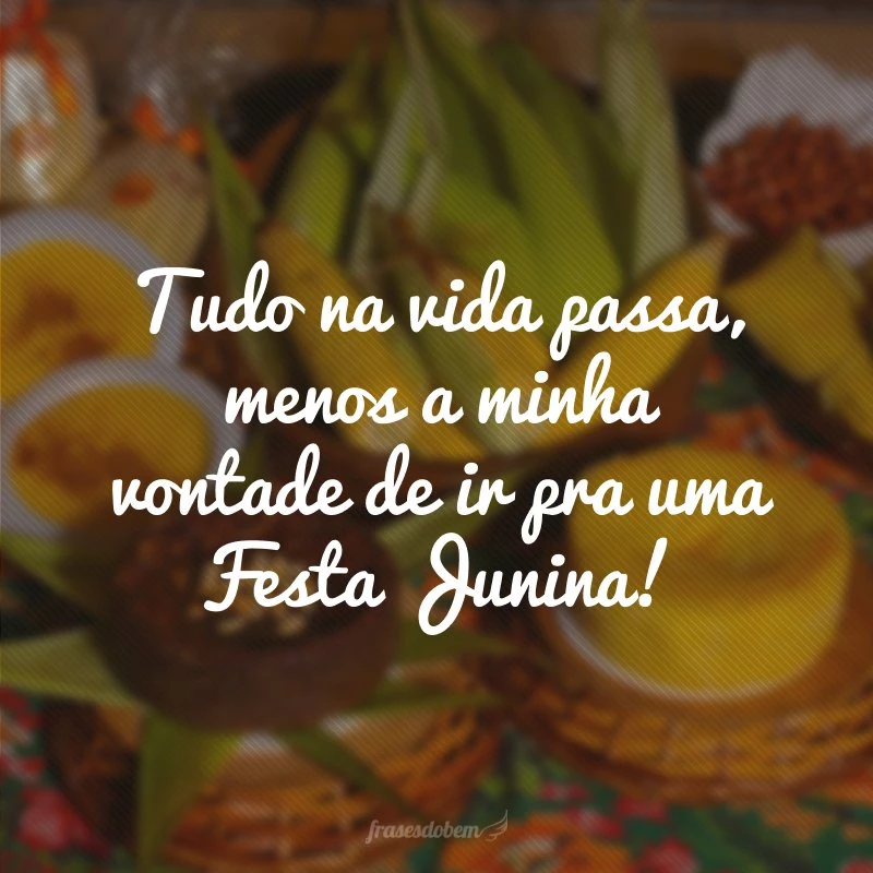 Tudo na vida passa, menos a minha vontade de ir pra uma Festa Junina!