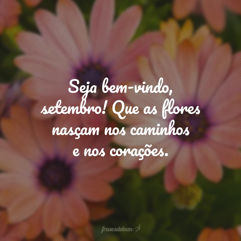 Seja bem-vindo, setembro! Que as flores nasçam nos caminhos e nos corações.