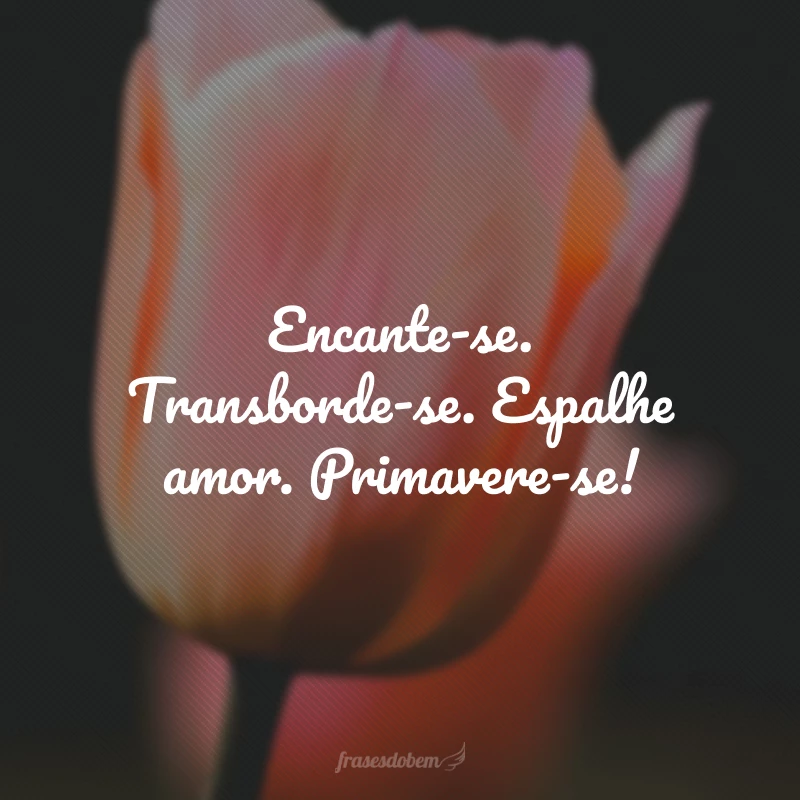 Encante-se. Transborde-se. Espalhe amor. Primavere-se!