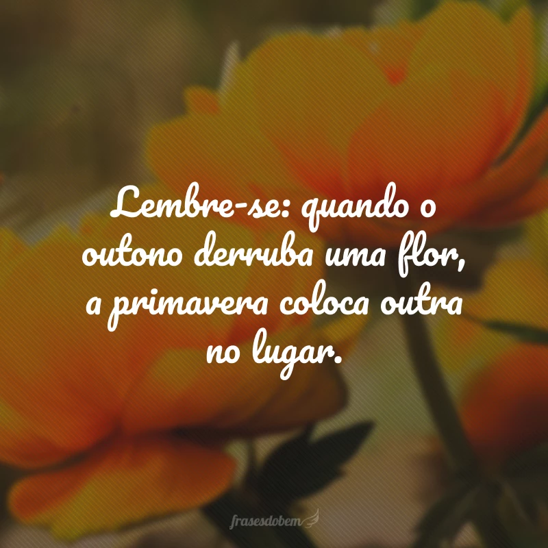 Lembre-se: quando o outono derruba uma flor, a primavera coloca outra no lugar.