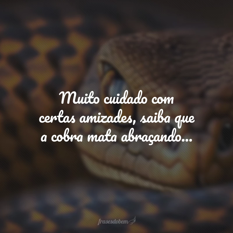 Muito cuidado com certas amizades, saiba que a cobra mata abraçando...